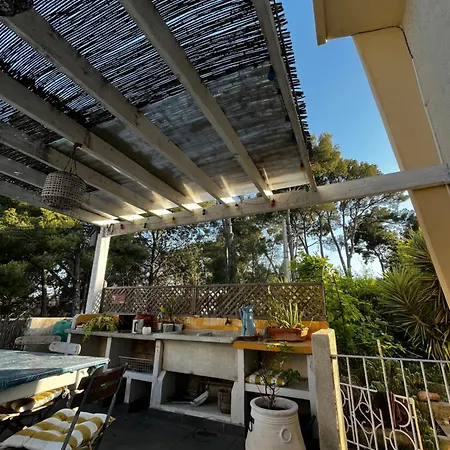 Jardin Exotique Entre Et Collines * ラシオタ