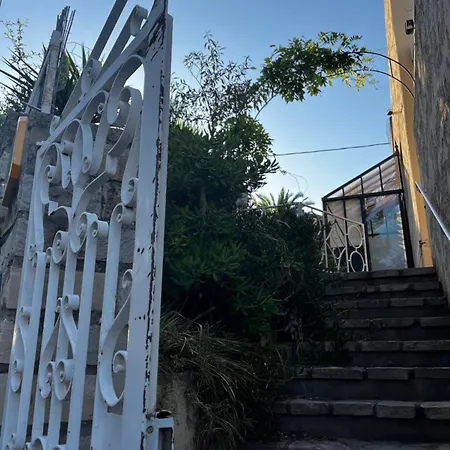 Jardin Exotique Entre Et Collines * La Ciotat