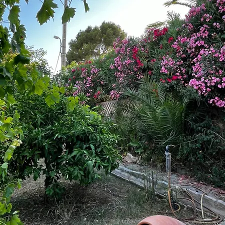 ヴィラ Jardin Exotique Entre Et Collines ラシオタ